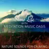 Relaxation Meditation Songs Divine - Slow Life with Meditation Music Oasis, Soothing Nature Sounds for Calming, Buddha Healing Bar, Relaxing Music